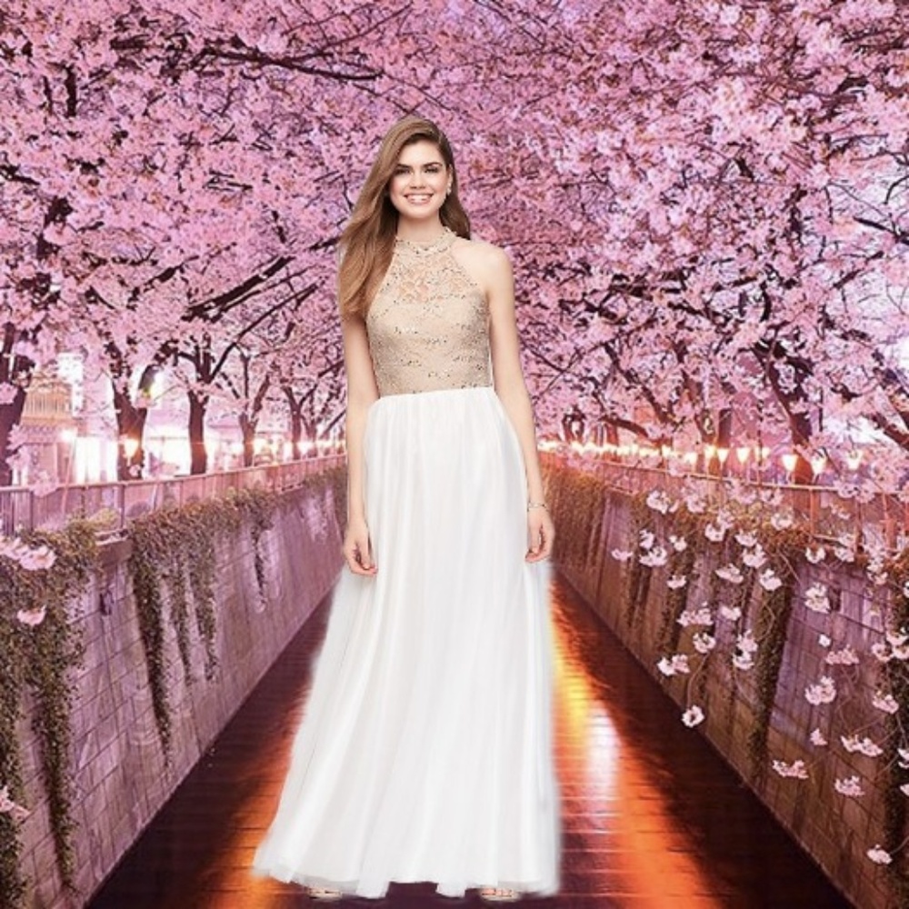 💲Sale💲🌠Host Pick🌠 Embellished Ladder Back Tulle Gown🌠